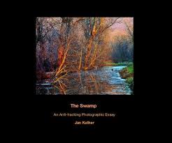 The Swamp Von Jan Kather: Arts \u0026amp; Photography | Blurb-Bücher ... - 4066533-a8da4211efde196ea820f144dd488726