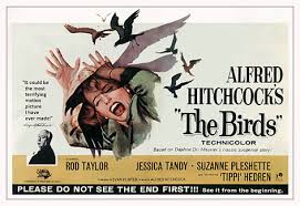 The Birds