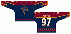 Atlanta Thrashers jerseys thrown on ice during Winnipeg Jets' loss ...