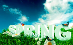 Image result for spring