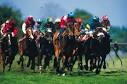 Weekend Date Idea, Kentucky Derby Edition: Who Knew a Sporting