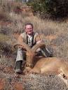 Aoudad in the Palo Duro