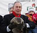 Staten Island Chuck waddled
