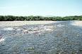 300px-Becharof_Wilderness_ ...