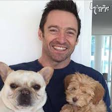 Bildergebnis für ‫سگ واقی وکربه واقی‬‎