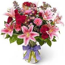 http://t1.gstatic.com/images?q=tbn:ANd9GcSrLTSXJqK2sBy1t0Ltx2jv-BfyNEfUxmyxWBwzCTvONnrk57Gnhw