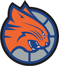 Charlotte Bobcats Logo - Chris Creamer's Sports Logos Page ...