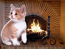 Résultat de recherche d'images pour "image gif animé automne"