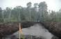 INDONESIA SAYS HAZE FIRES GREATLY REDUCED