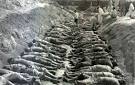 Korean War Civilian Dead