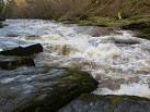 strid' through this very - via Daymix