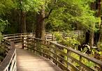 Corkscrew Swamp Sanctuary