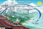 The Study of Water (