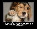 Totally Awesome