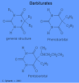 Drugs - CNS Barbiturates
