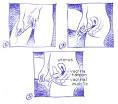 http://www.youngwomenshealth.org/Images/tampon.gif