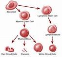 Healthy care and Tips*: Leukemia