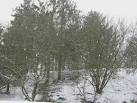 SNOW - Wikipedia, the free encyclopedia