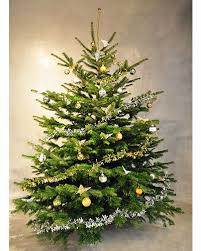 مجموعة صور لأجمل ـشجرة عيد الميلاد - صفحة 4 Images?q=tbn:ANd9GcSu3diK9X_PpeBZJvnq4vHi0voQVlD5ldFiJhPQPXW80pj6coPv