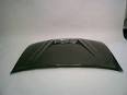1998-2003 Ford Escort ZX-2 Carbon Fiber Hood (Int) at Legend MP