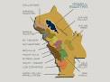 SPENCE HOWELL MOUNTAIN | The Vineyard
