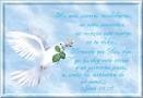 Frases De Pesame