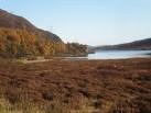 Pylons and B862 by Loch Ceo-glais - via Daymix