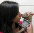Must love pets: Speed dating for animal lovers