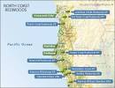 California Coastal Redwood Parks