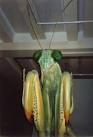 When genetic engineering goes bad (1) - via Daymix