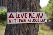 Creole language - Wikipedia, the free encyclopedia
