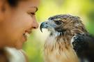 Jamie Ballard with “Dancer,” a Red-Tailed Hawk - 1592-Jamie-Ballard-with-Dancer-(Red-tailed-Hawk)-DSC_5920[1]