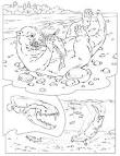 Otter coloring page