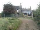 as the field all around has invertebrate fencing on its perimeter. - via Daymix