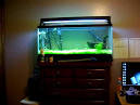 30 Gallon