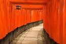Picture - The Fushimi Inari Taisha shinto shrine, located in ...