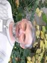 Thomas Lohse - images?q=tbn:ANd9GcSvaCbvPzQg1NVxtPHBdMGoPsgNDZ4PK8soonvDmXSyyWmctGEm-MQuRQ