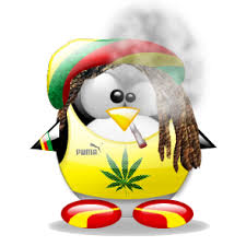 images?q=tbn:ANd9GcSvjnhtpROhGn4HAr7-7kxwFxcPmqWgHdQ80tZosnHCO9Ch8mYV