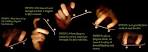 From Mind To Art: Trick Fingerboard Flip and Spin