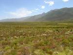 File:Fynbos-landscape-3.jpg - Wikimedia Commons