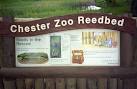 Interpretation sign for - via Daymix