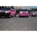 Cheap Confortable Limousines To Rent For Valentines Day PANJ ...