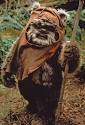 The Certainty Monster vs. The Uncertainty Ewok