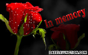 http://t1.gstatic.com/images?q=tbn:ANd9GcSw_MwStMj-1O9ZoAF7qGEXcGLoP4_XmMJH9slXvuO65Ib4E9oB