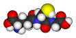 <b>Antioxidant</b>
