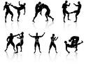 Mixed Martial Arts Style Training - Patriot Fitness and Martial Arts