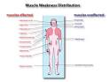 EURASNET | Fascioscapulohumeral <b>muscular</b> dystrophy (