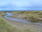 A strip of brackish water among the dunes near Tentsmuir Point. - via Daymix