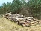 Well-weathered lumber. This pile of timber seems to have been lying beside - via Daymix