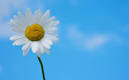 Best Sign Systems - air quality, environmental signage, green ...
